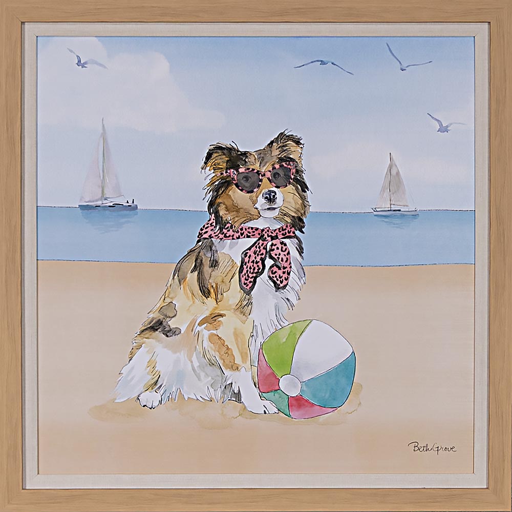 Summer Paws V